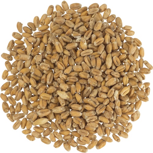 German Pale Wheat Malt Weyermann® Specialty Malts