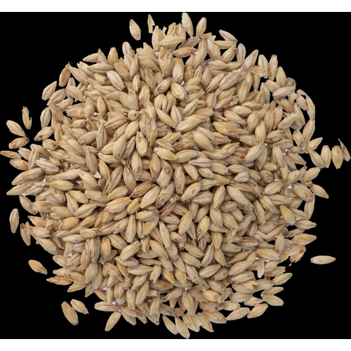 American Pale Malt Great Western Malting