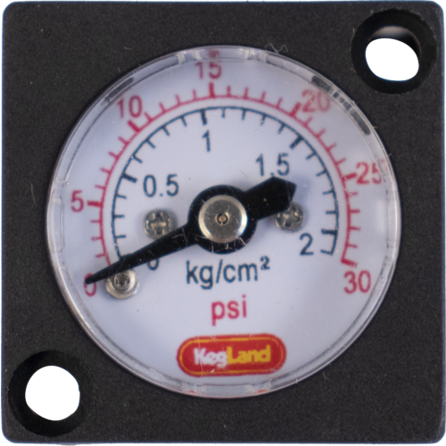 Mini Pressure Gauge (0-30 psi)