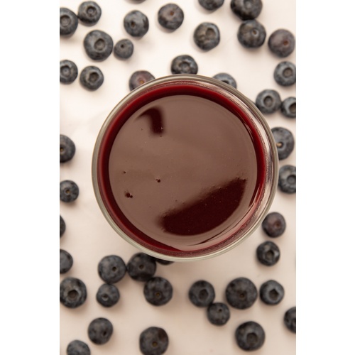 Fruit Puree | Blueberry | Endless Harvest | Aseptic | Shelf Stable | 100% Fruit | All Natural