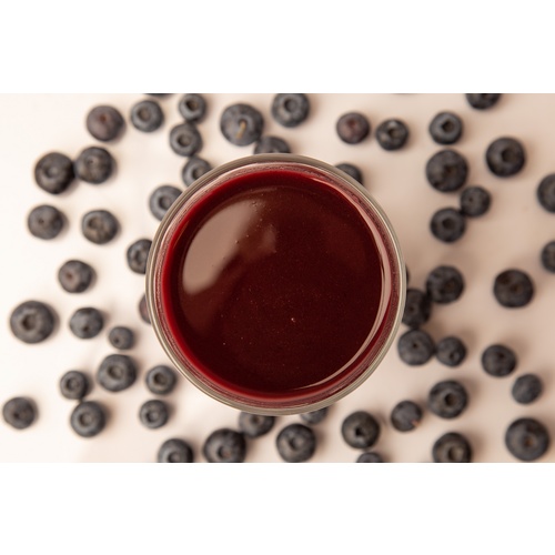 Fruit Puree | Blueberry | Endless Harvest | Aseptic | Shelf Stable | 100% Fruit | All Natural