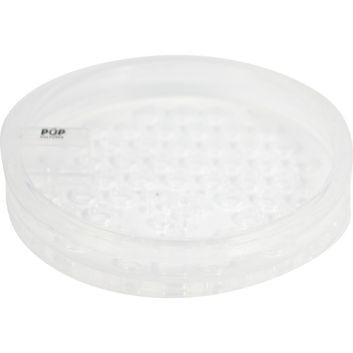 Pop Cultures | Food Fermentation Screen