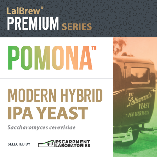 Lallemand | LalBrew® Pomona™ Modern Hybrid IPA Yeast | Dry Beer Yeast