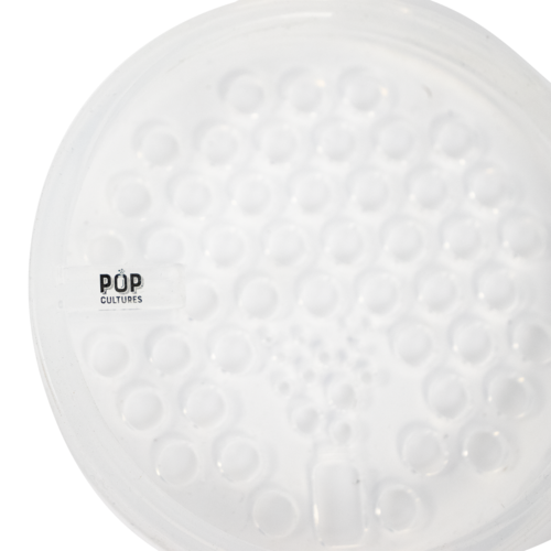 Pop Cultures | Food Fermentation Equipment Kit | 1 Gallon