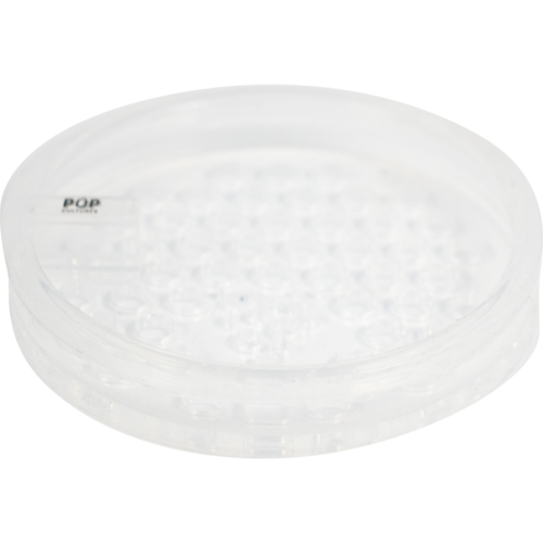 Pop Cultures | Food Fermentation Equipment Kit | 1 Gallon