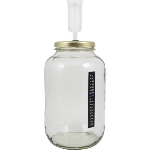 Pop Cultures | Food Fermentation Equipment Kit | 1 Gallon