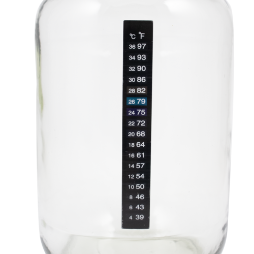 Pop Cultures | Food Fermentation Equipment Kit | 1 Gallon