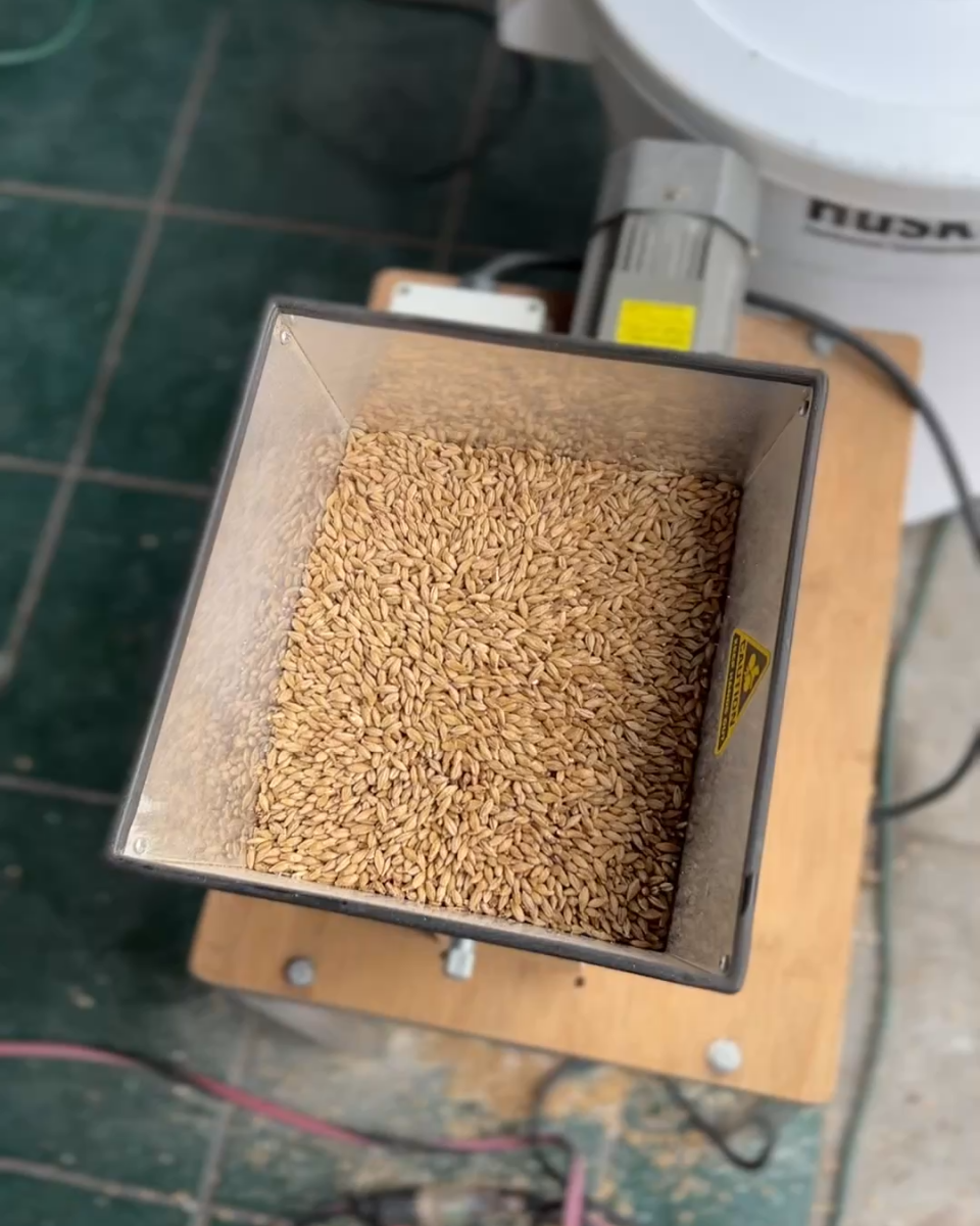 Viking Wheat Malt